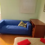 Homestay Global Guest